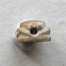 Skarabej